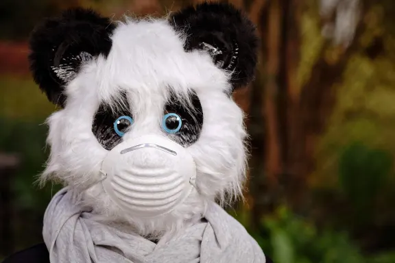 Cazino Fairground Slots Cazinou Suport